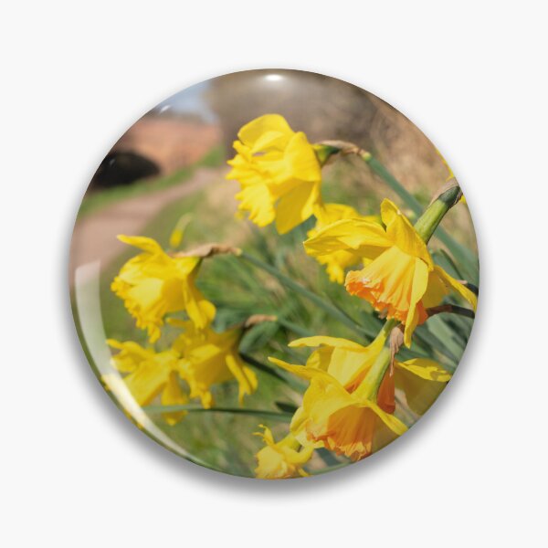 Item preview, Spring Daffs  designed and sold by hawkie.