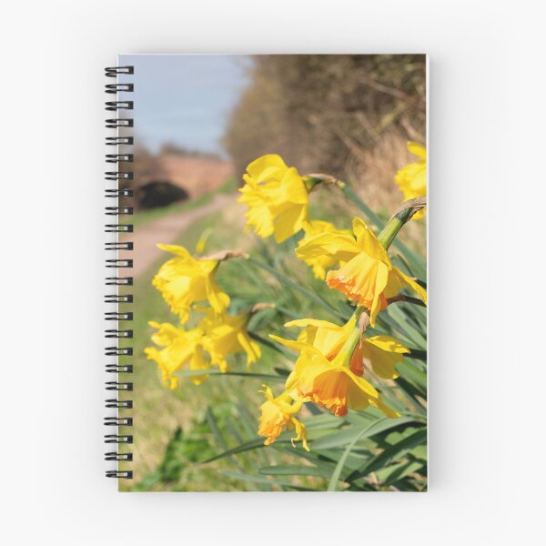 Item preview, Spring Daffs  designed and sold by hawkie.