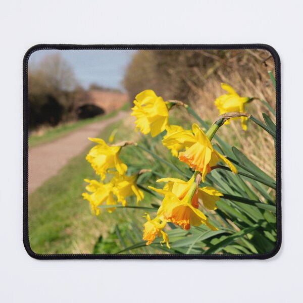 Item preview, Spring Daffs  designed and sold by hawkie.