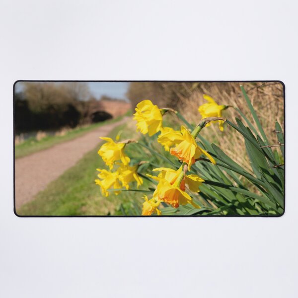 Item preview, Spring Daffs  designed and sold by hawkie.
