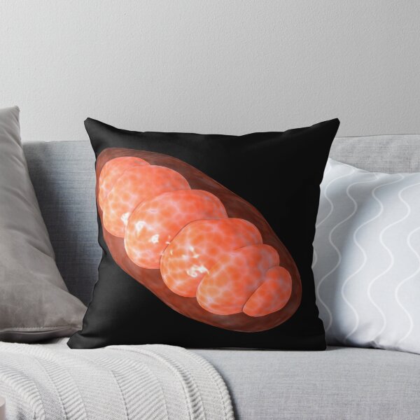 Item preview, Conceptual image of mitochondria. designed and sold by StocktrekImages.