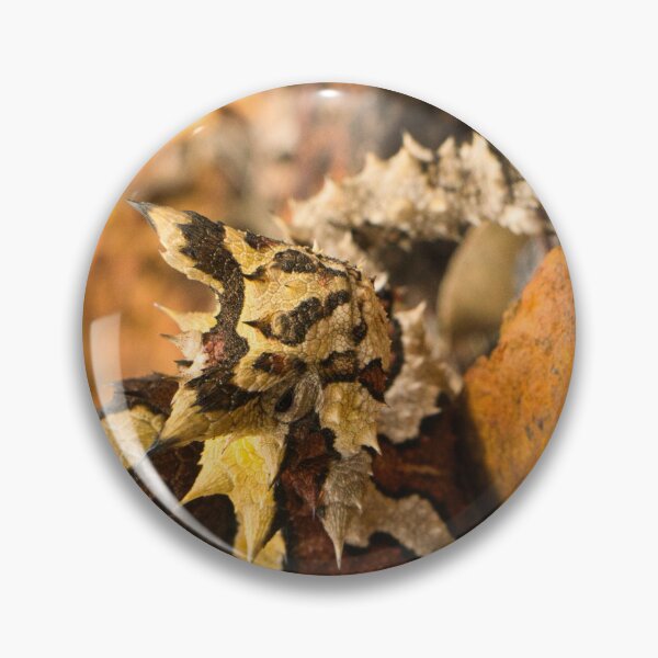 Item preview, Thorny Devil designed and sold by pacom.