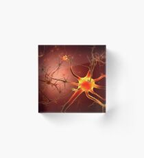 Begriffsbild von Neuron. Acrylblock