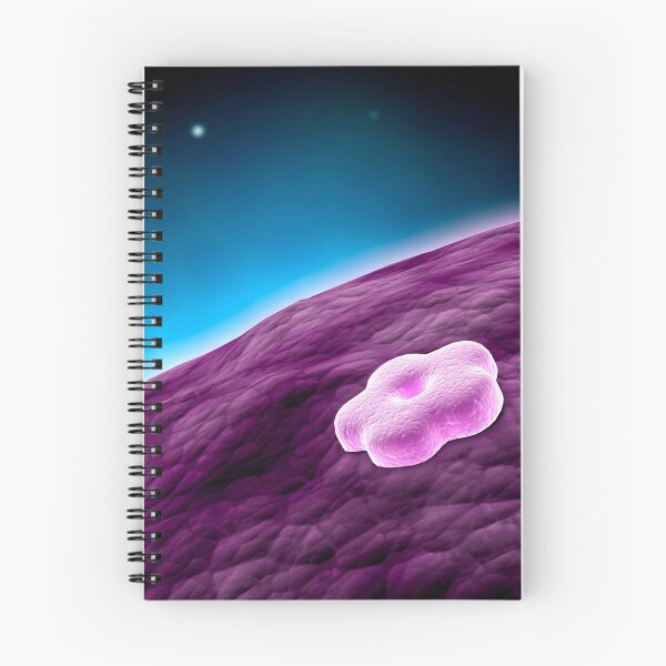 Item preview, Conceptual image of cell nucleus. designed and sold by StocktrekImages.