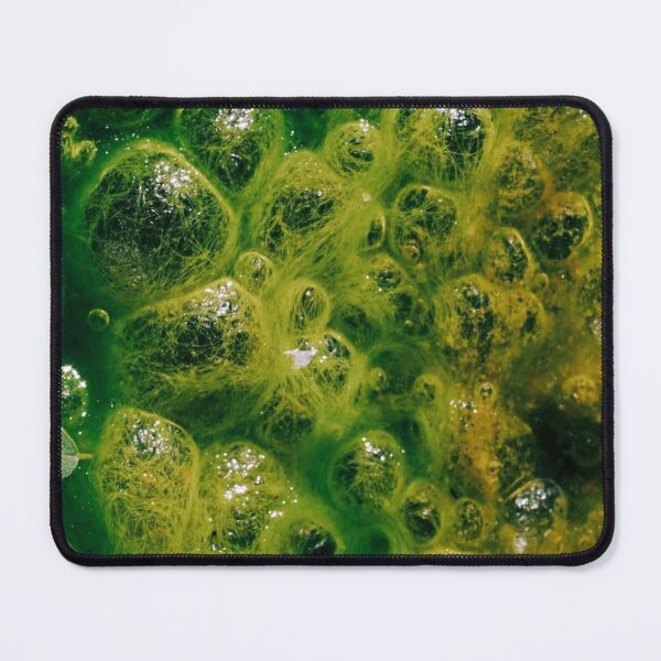 Item preview, beauty of cyanobacteria  designed and sold by ritusdesigns.
