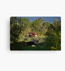 scrub dub Canvas Print