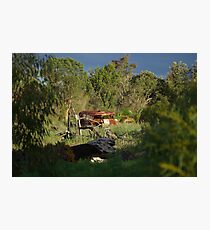 scrub dub Photographic Print