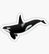 Orca Sticker