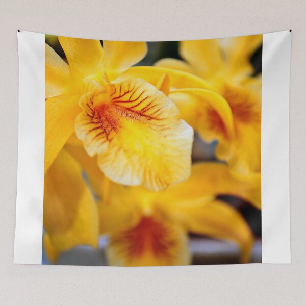 Item preview, Yellow Orchid Flower Flowering Plant designed and sold by AndyEvansPhotos.