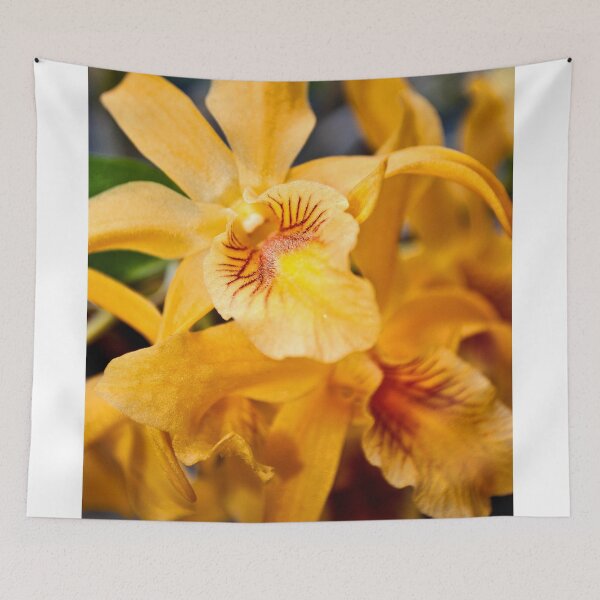 Item preview, Yellow Orchid Flower Flowering Plant designed and sold by AndyEvansPhotos.
