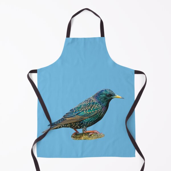 Item preview, Beautiful Starling designed and sold by Dalyndigital Photography.