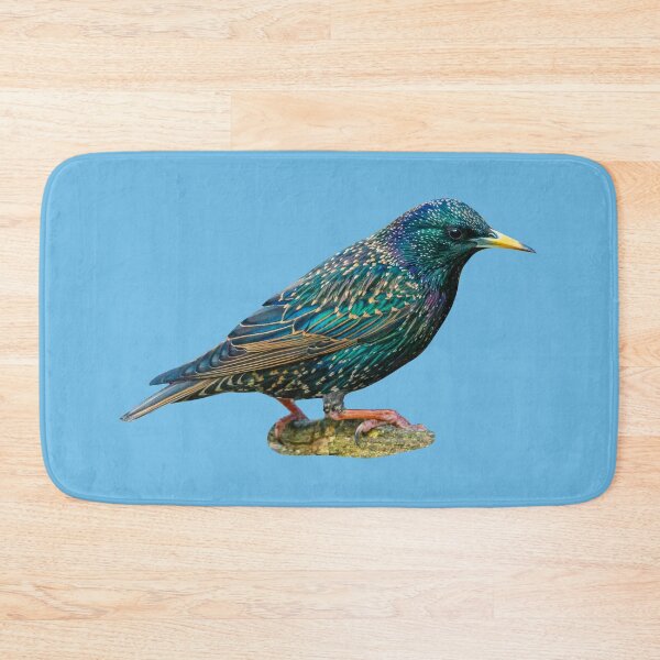 Item preview, Beautiful Starling designed and sold by Dalyndigital Photography.