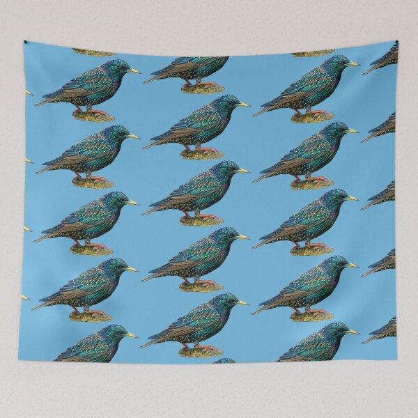 Item preview, Beautiful Starling designed and sold by Dalyndigital Photography.