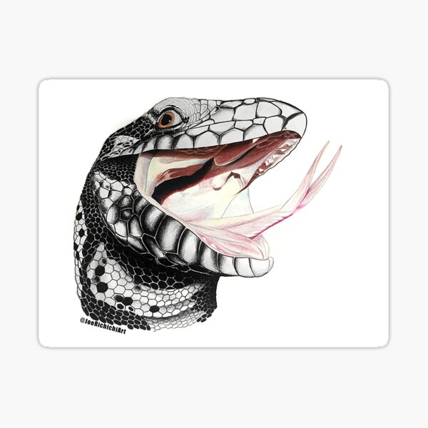 Argentine Tegu Sticker