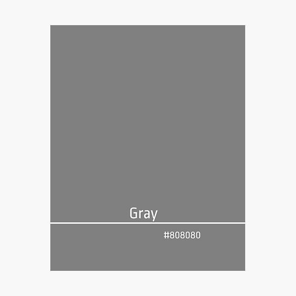 Gray, hex color code; 13 Pro Max iPhone Cases