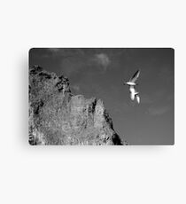 Together I Canvas Print