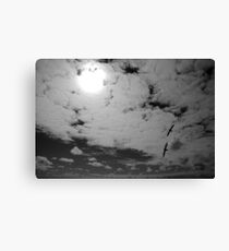 Together II Canvas Print