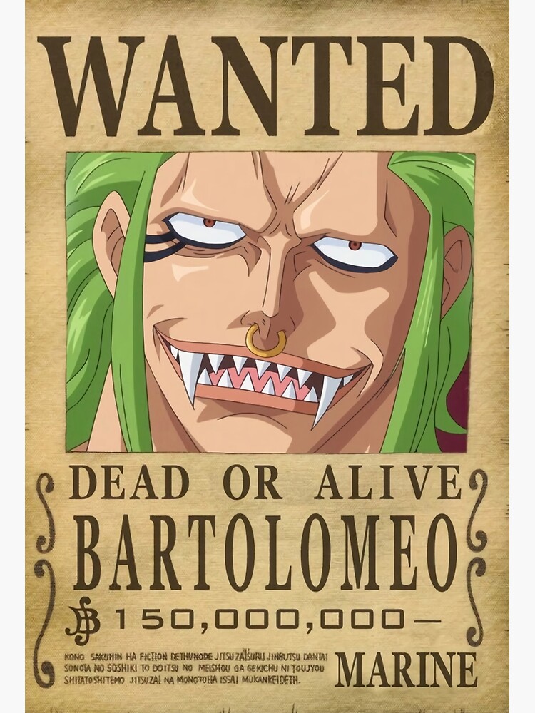 Poster Wanted One Piece – Baggy Store