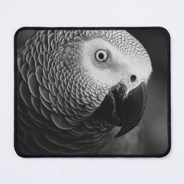 Item preview, Cadeaux de perroquet gris d'Afrique designed and sold by The-Best-Arts.