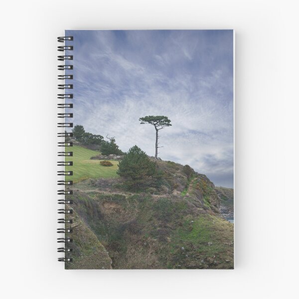 Item preview, Single Tree At Thatcher Rock designed and sold by rawshutterbug.