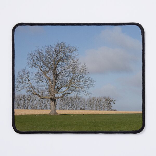 Item preview, Tree on a Meadow designed and sold by Calidris Fotografie Steffi & Ben Köppler.
