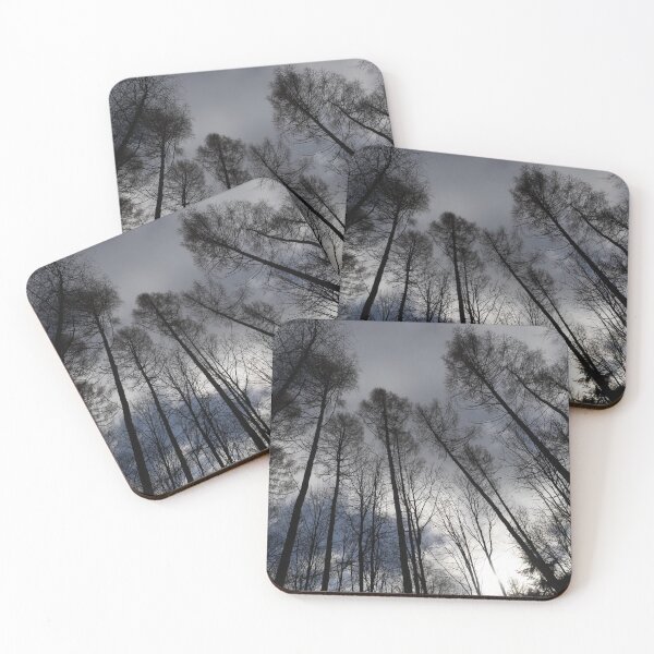 Item preview, Looking up at the Tree Tops designed and sold by Calidris Fotografie Steffi & Ben Köppler.