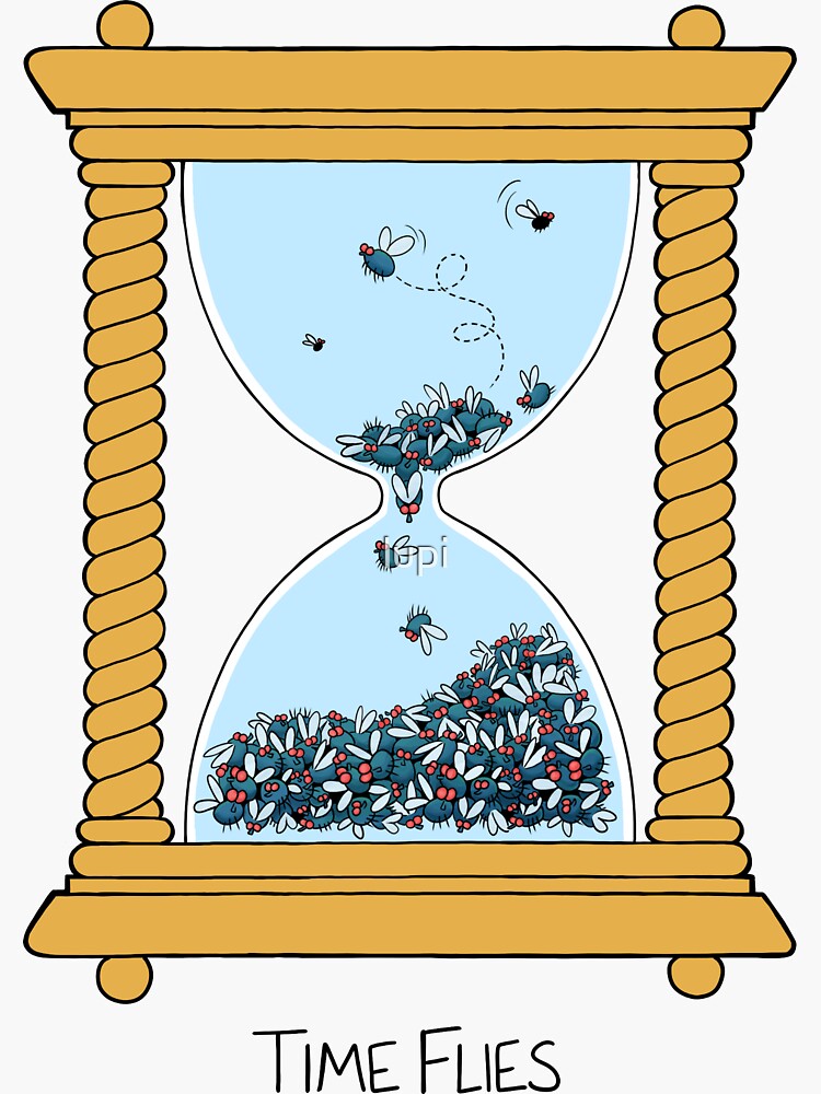 Time Flies by lupi