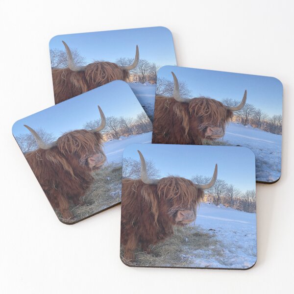 Item preview, Scottish Highland Cattle Cow 3147 designed and sold by SaarelaHighland.