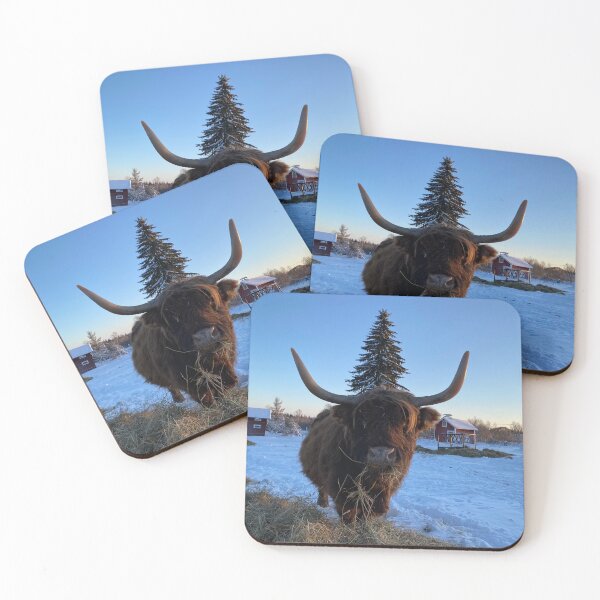 Item preview, Scottish Highland Cattle Cow 3149 designed and sold by SaarelaHighland.
