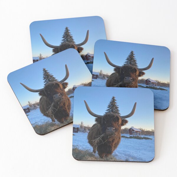 Item preview, Scottish Highland Cattle Cow 3150 designed and sold by SaarelaHighland.