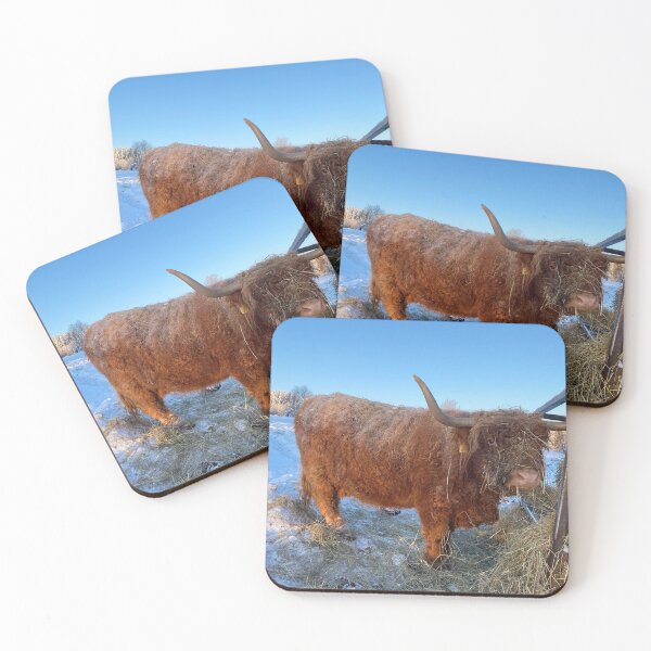 Item preview, Scottish Highland Cattle Cow 3155 designed and sold by SaarelaHighland.