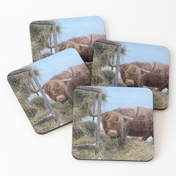 Item preview, Scottish Highland Cattle Cow 3159 designed and sold by SaarelaHighland.