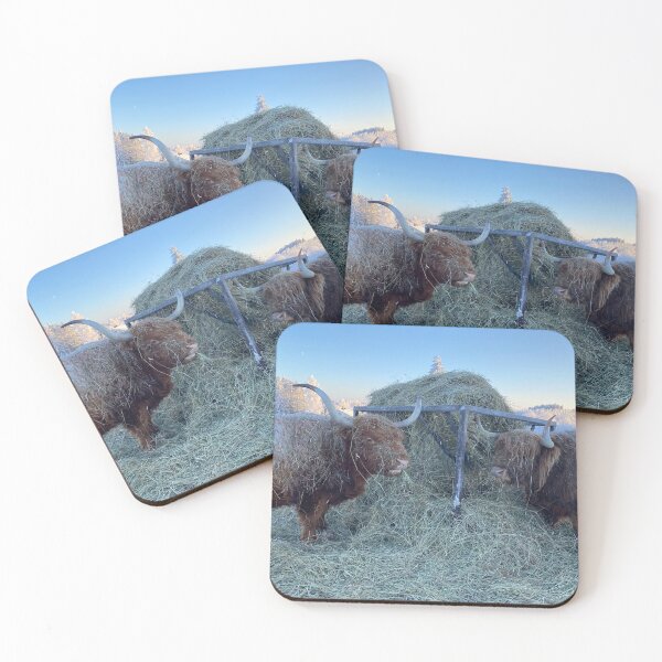 Item preview, Scottish Highland Cattle Cows 3164 designed and sold by SaarelaHighland.