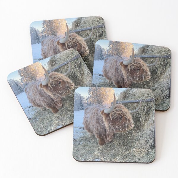 Item preview, Scottish Highland Cattle Cow 3169 designed and sold by SaarelaHighland.