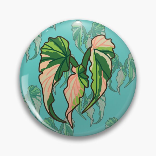 Item preview, Begonia Ginny Galaxy designed and sold by xitricite.