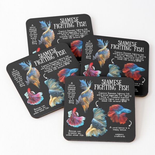 Item preview, Siamese Fighting Fish Fun Facts designed and sold by KyleNesas.
