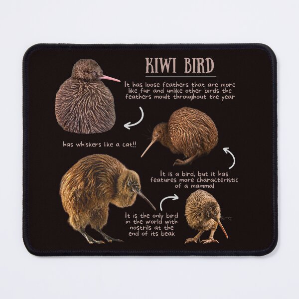Item preview, Kiwi Bird Fun Facts designed and sold by KyleNesas.
