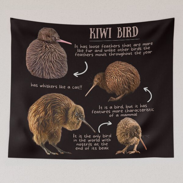 Item preview, Kiwi Bird Fun Facts designed and sold by KyleNesas.