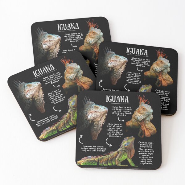 Item preview, Iguana Fun Facts designed and sold by KyleNesas.