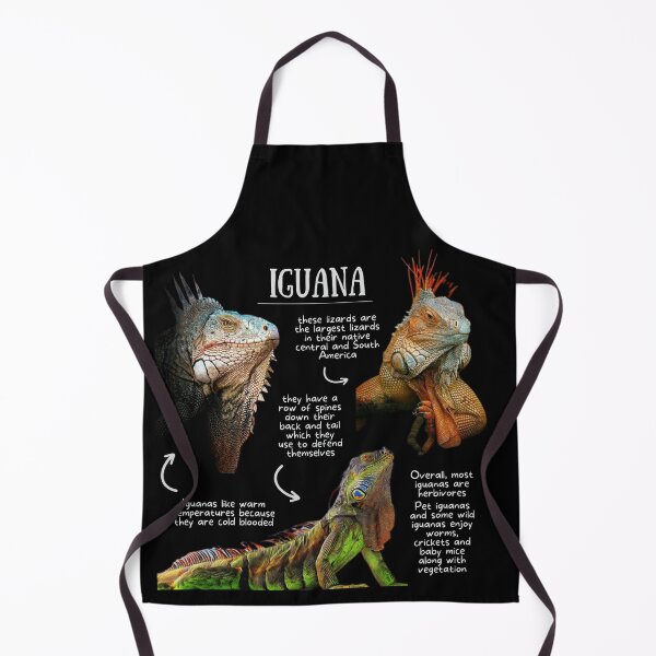 Item preview, Iguana Fun Facts designed and sold by KyleNesas.