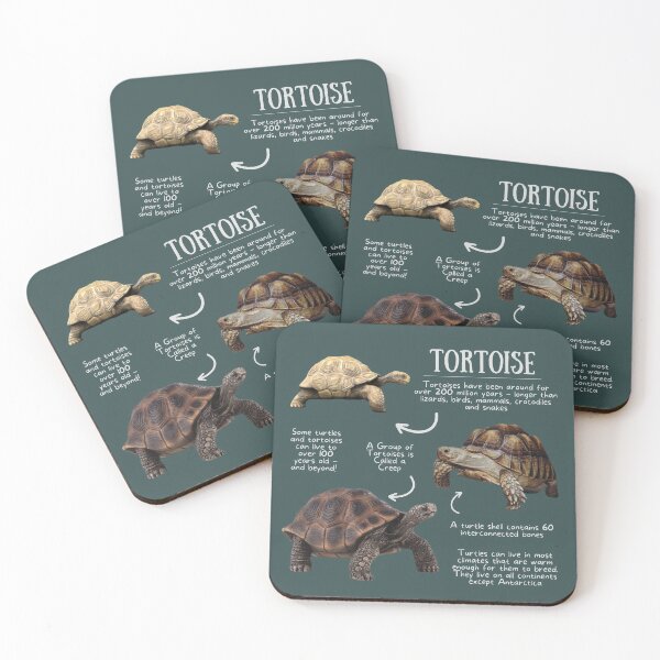 Item preview, Tortoise Fun Facts designed and sold by KyleNesas.