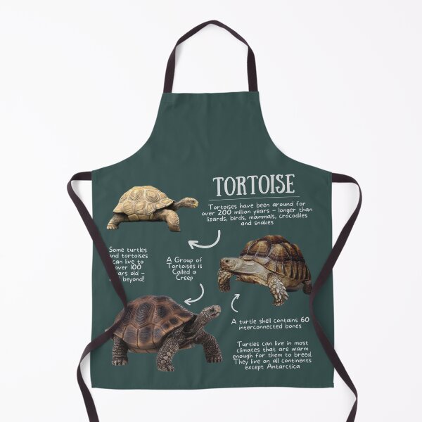 Item preview, Tortoise Fun Facts designed and sold by KyleNesas.