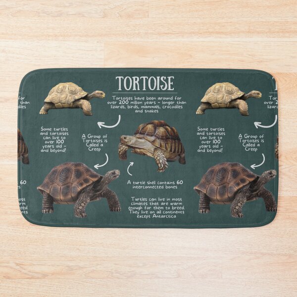 Item preview, Tortoise Fun Facts designed and sold by KyleNesas.