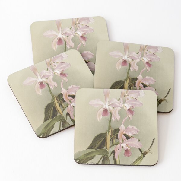 Item preview, Reichenbachia: Orchids Illustrated and Described designed and sold by EsotericBotanic.