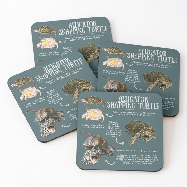 Item preview, Alligator Snapping Turtle Fun Facts designed and sold by KyleNesas.
