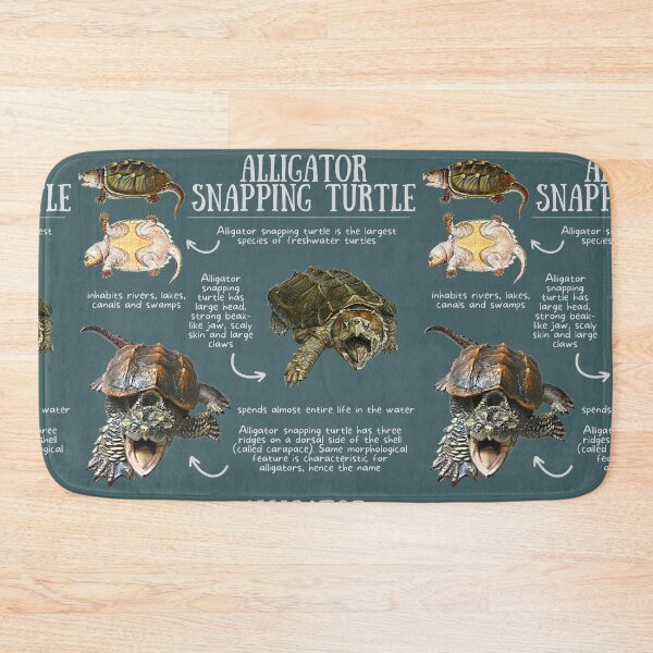 Item preview, Alligator Snapping Turtle Fun Facts designed and sold by KyleNesas.
