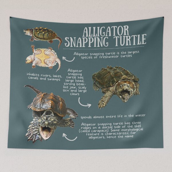 Item preview, Alligator Snapping Turtle Fun Facts designed and sold by KyleNesas.