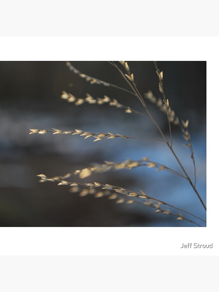 Simple season by jeffStroud