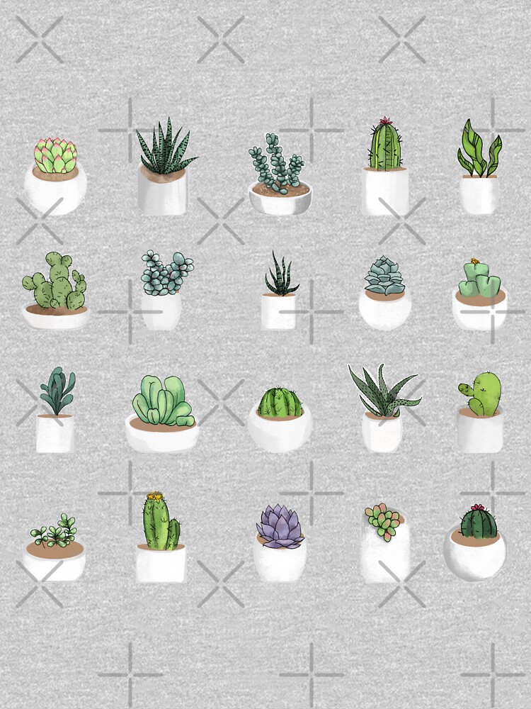 Succulents by katherineblower
