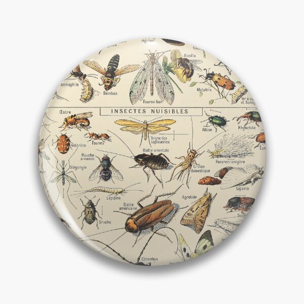 Item preview, Vintage Insect designed and sold by ind3finite.
